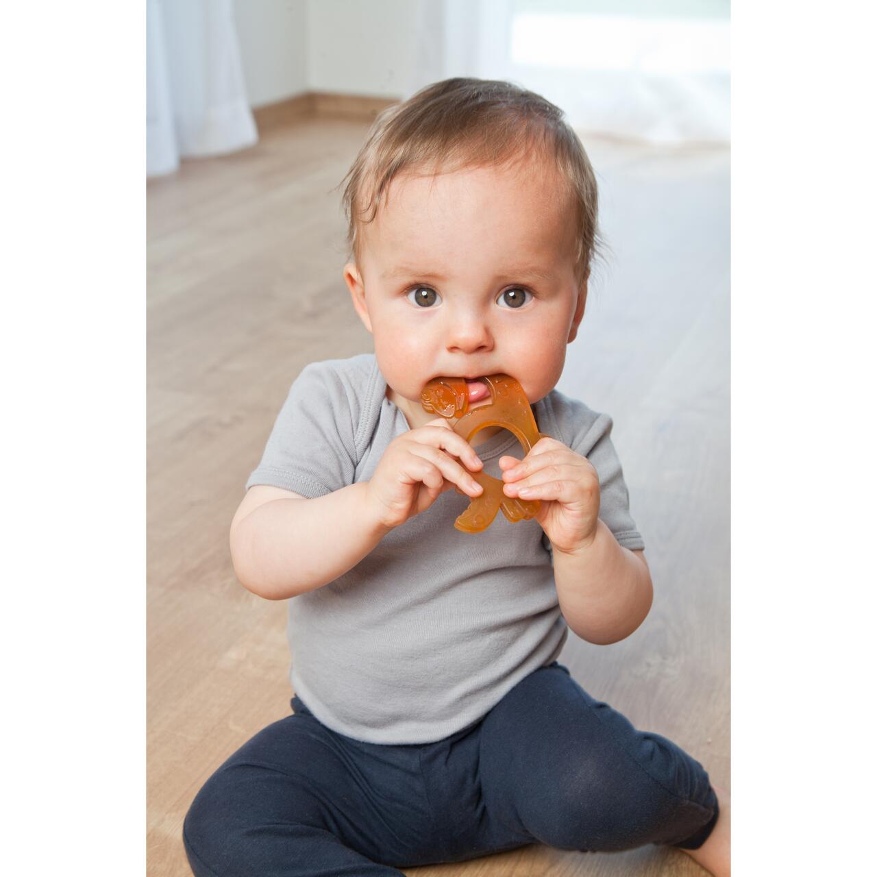 Inel pentru dentitie din cauciuc natural BIO, dinozaur, Grunspecht 639-V1