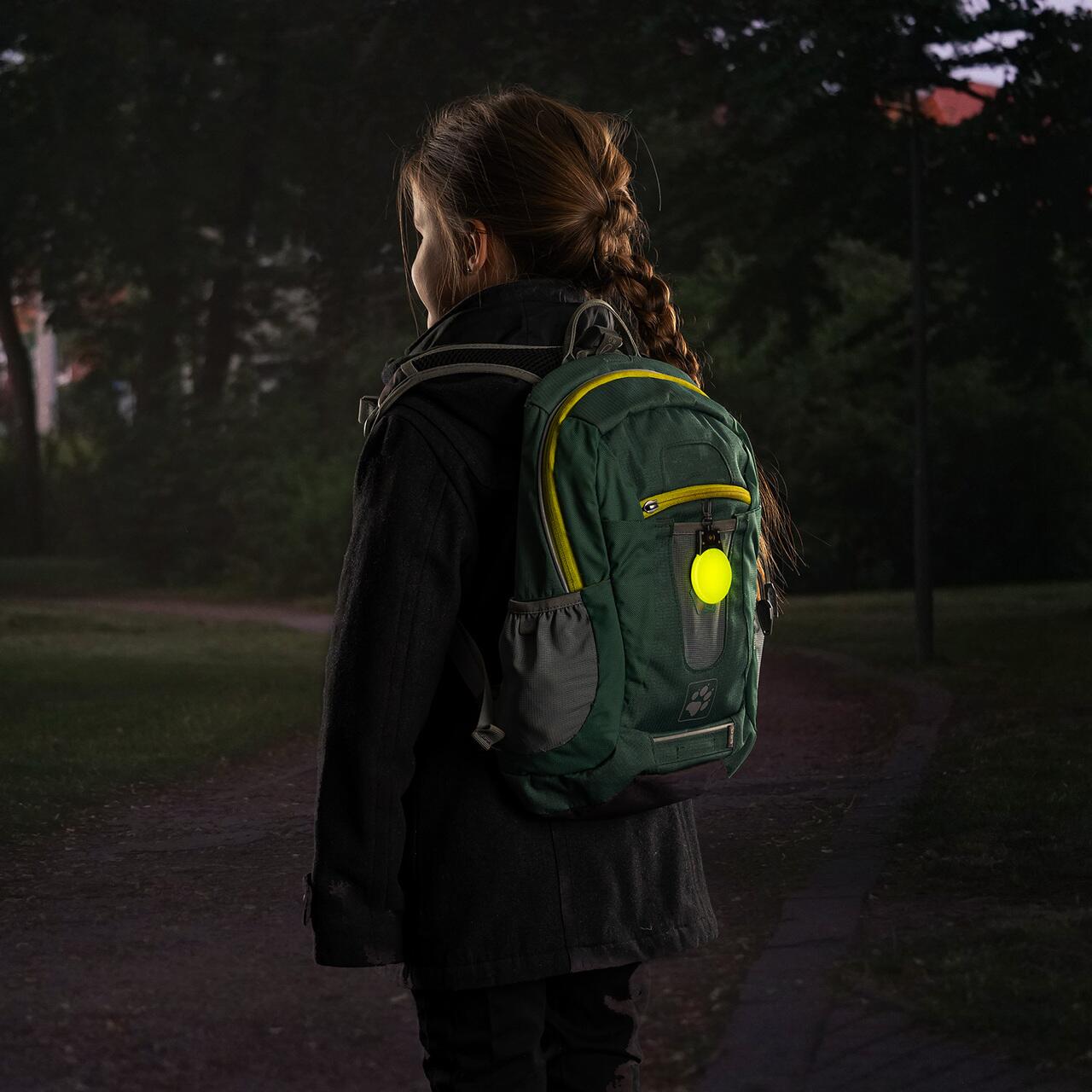 Lumina LED de siguranta reflectorizanta cu carabina, Reer Light&Go