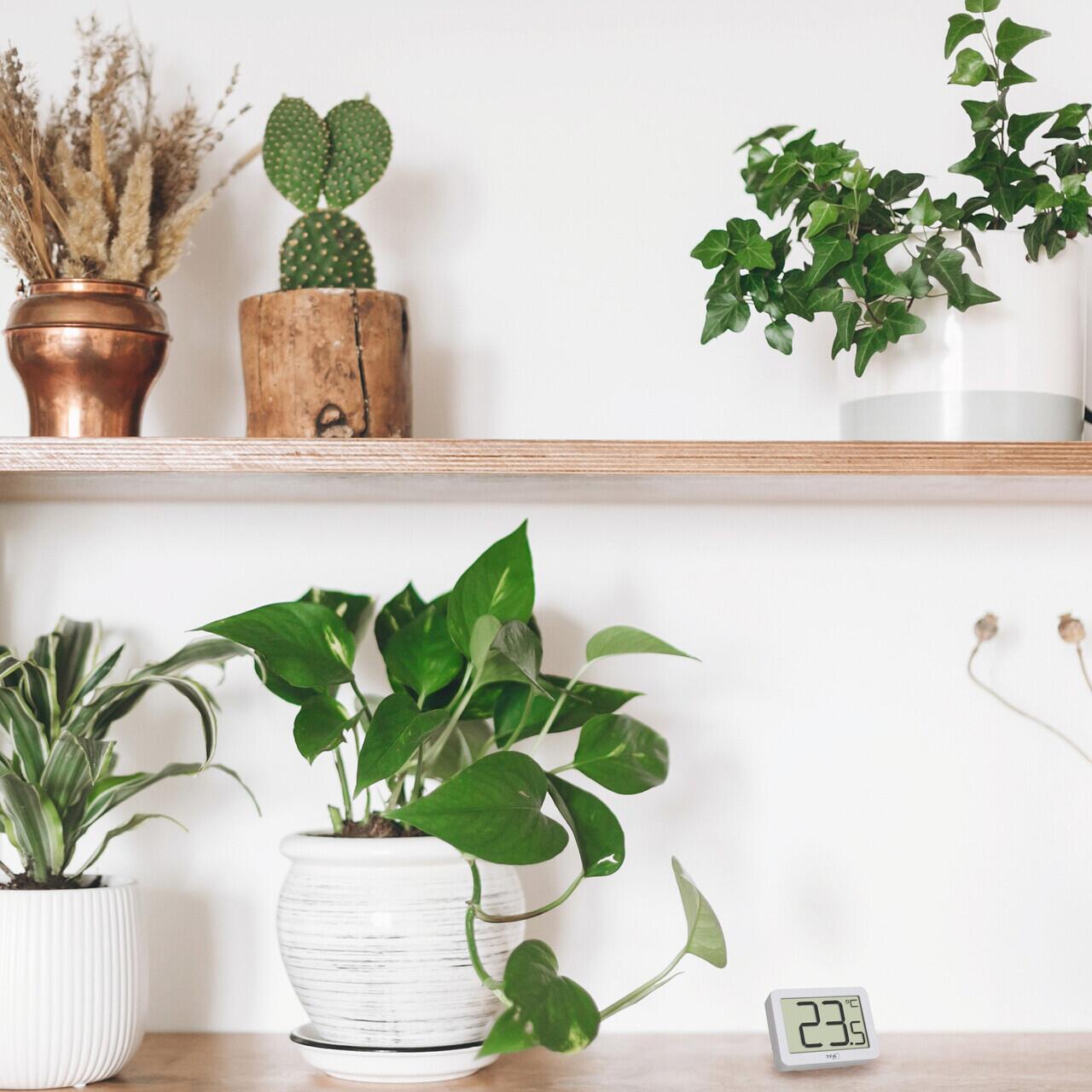 Termometru digital de cameră TFA, cu suport magnetic și afișaj mare, alb