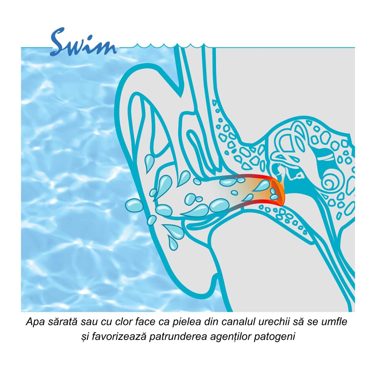Dopuri de urechi pentru inot, impiedica patrunderea apei in urechi la copii, 1 an+, reutilizabile, hipoalergenice, albastre, SANOHRA Swim Kids
