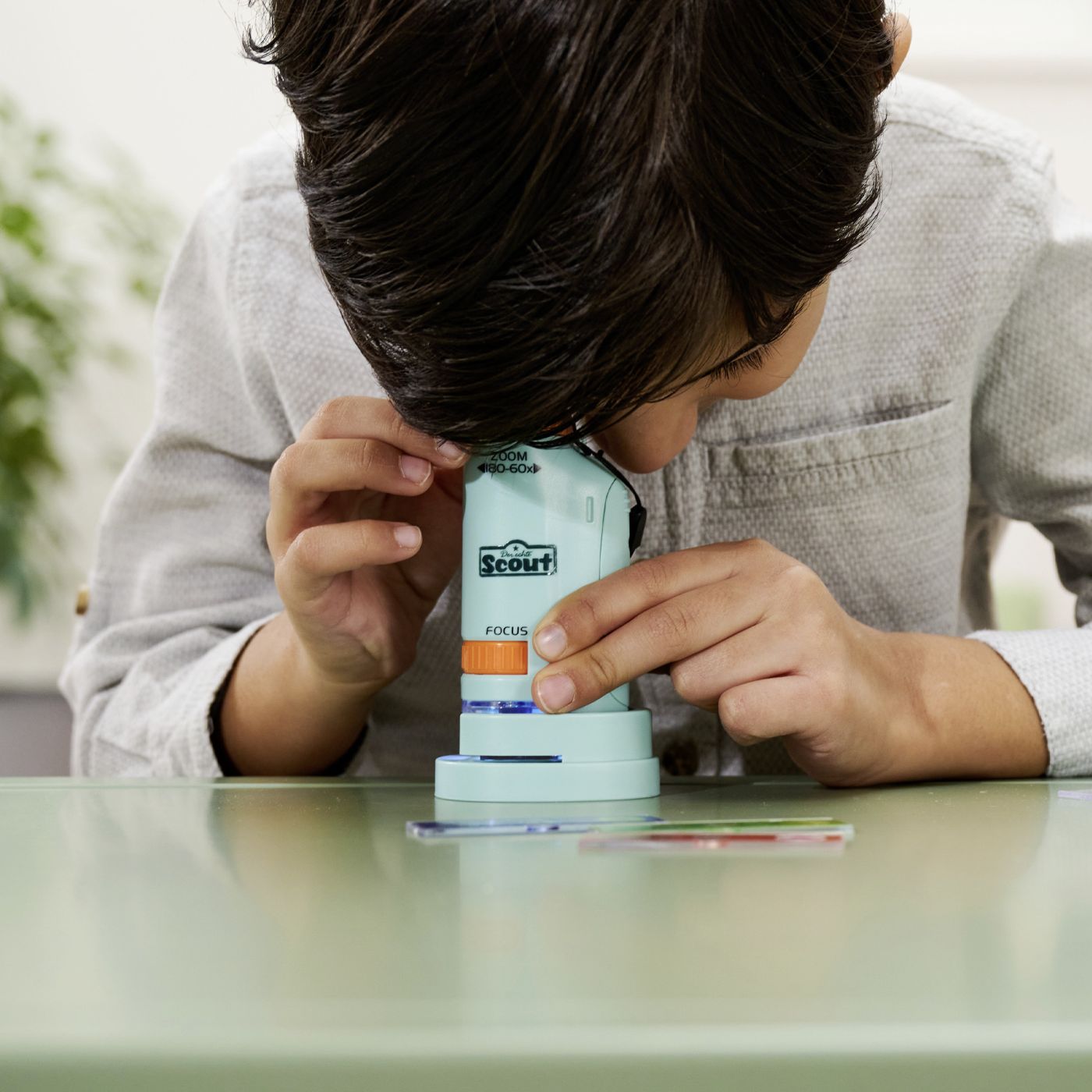 SIMBA SCOUT MICROSCOP DE BUZUNAR