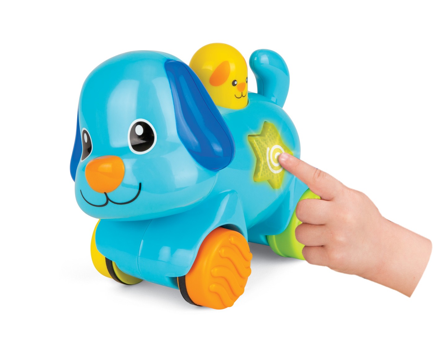 WINFUN CATELUS INTERACTIV