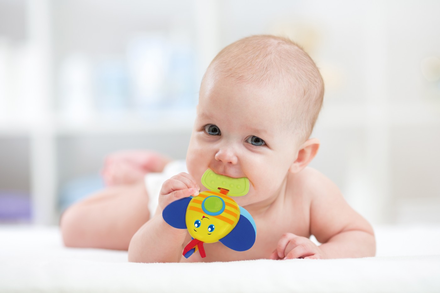 Jucarie de dentitie Winfun Albinuta cu lumini, sunete si inel de prindere