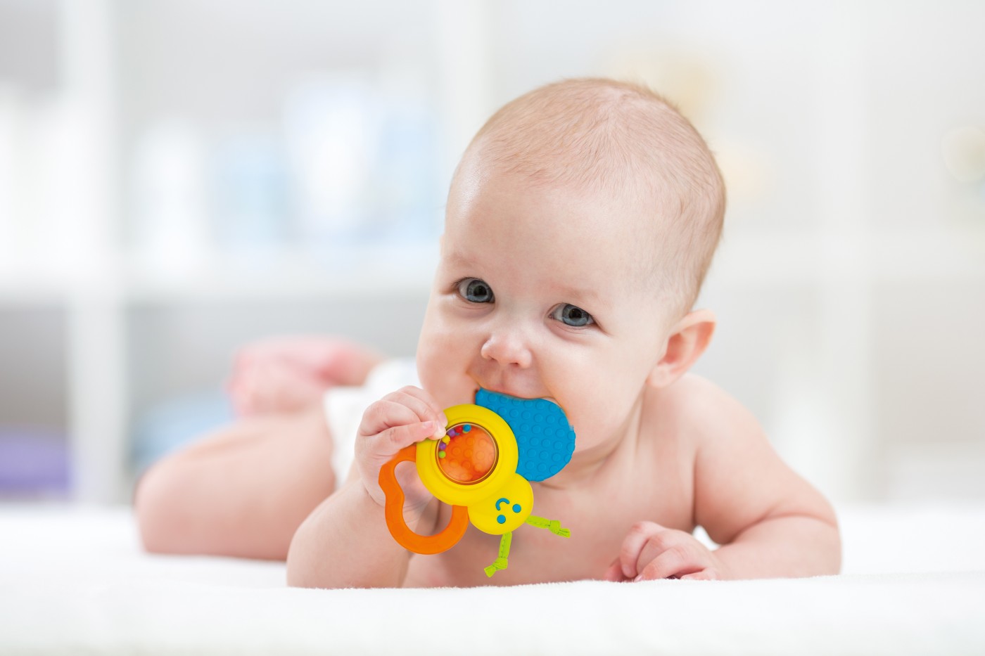 Zornăitoare fluturaș Winfun cu jucărie de dentiție pentru bebeluși