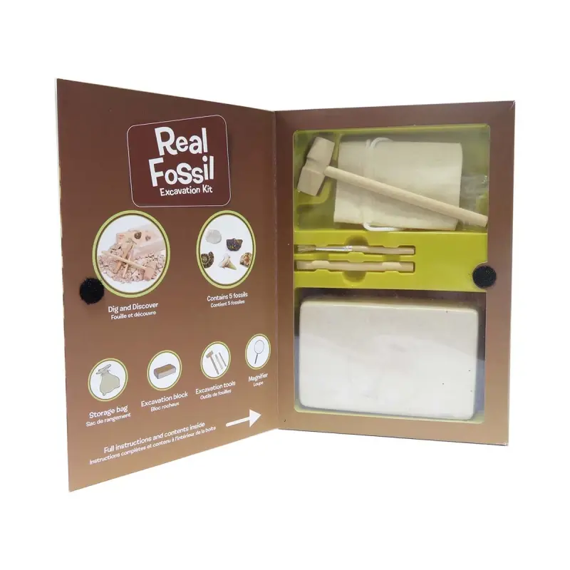 Kit de paleontologie pentru copii cu 5 fosile reale de excavat