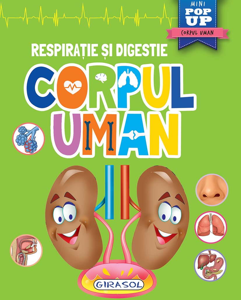 Corpul uman: respirație și digestie - carte interactivă mini pop-up pentru copii
