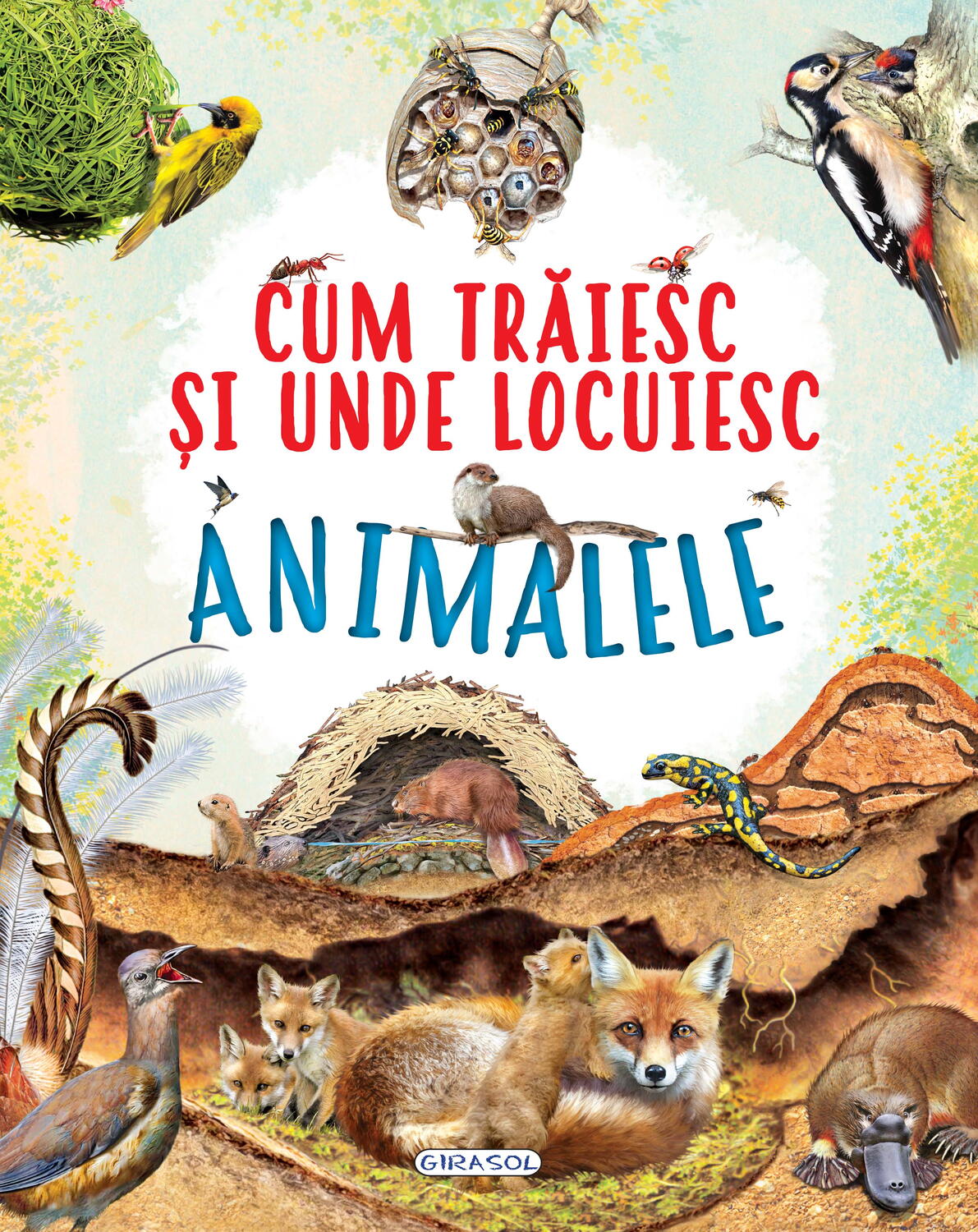 Cum trăiesc și unde locuiesc animalele - carte educativă copii 5+