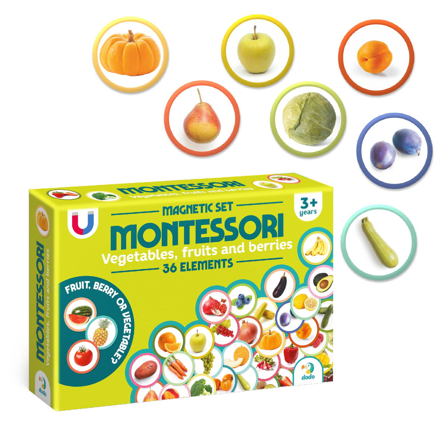 Set magneți Montessori cu fructe și legume, 36 piese educative