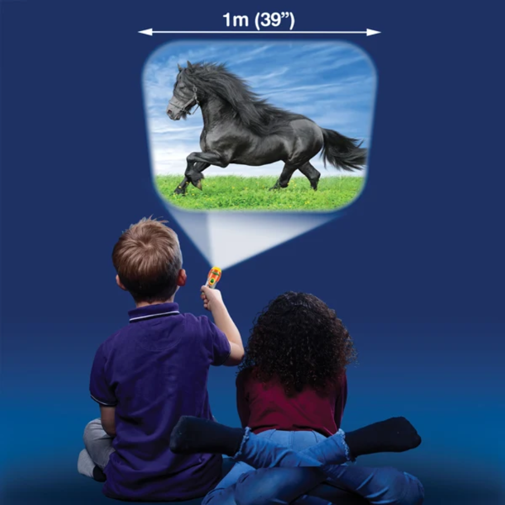 Proiector tip lanterna - Caluti