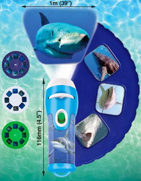 Proiector tip lanterna - Rechini periculosi