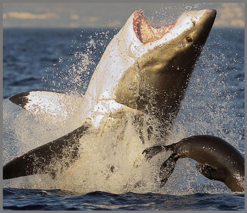 Proiector tip lanterna - Rechini periculosi