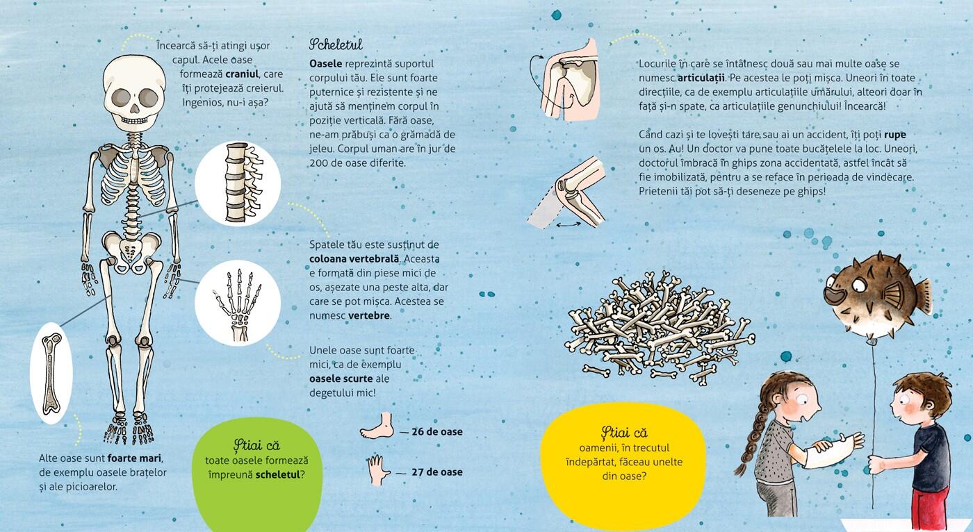 Carte ilustrată pentru copii 6+ - Cum funcționează corpul meu, DPH