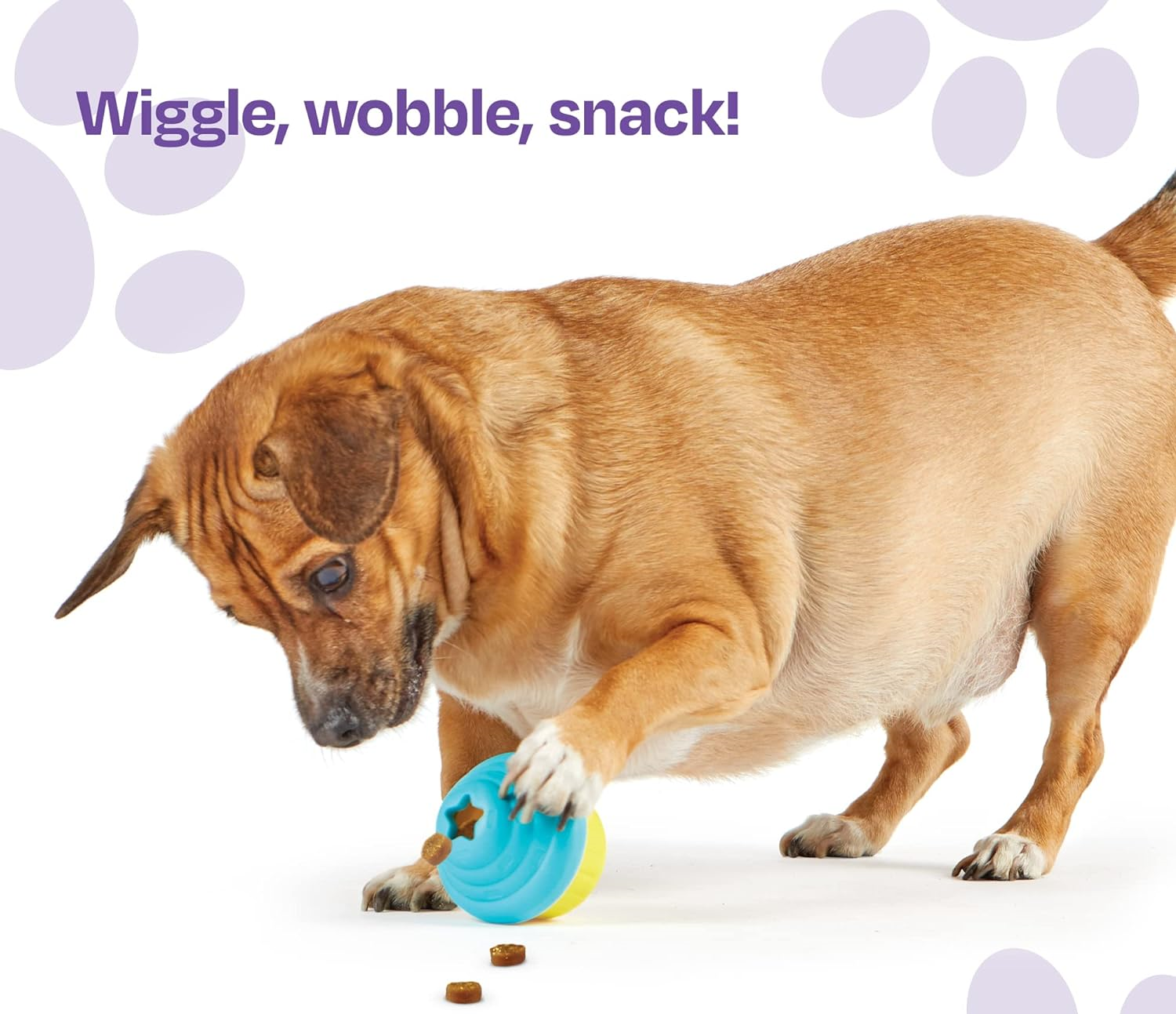 Jucarie interactiva pentru dresaj caini cu eliberare recompense Briosa