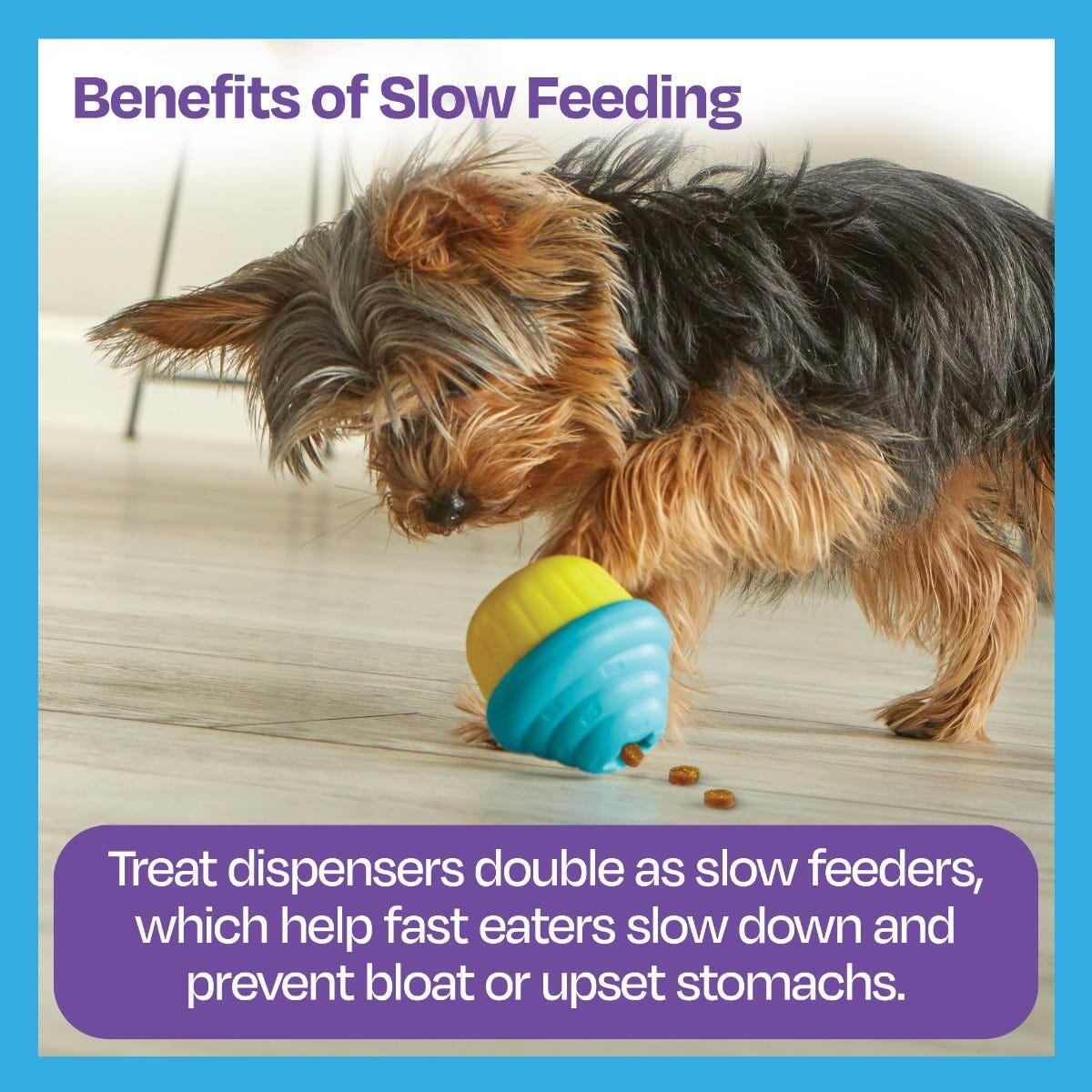 Jucarie interactiva pentru dresaj caini cu eliberare recompense Briosa