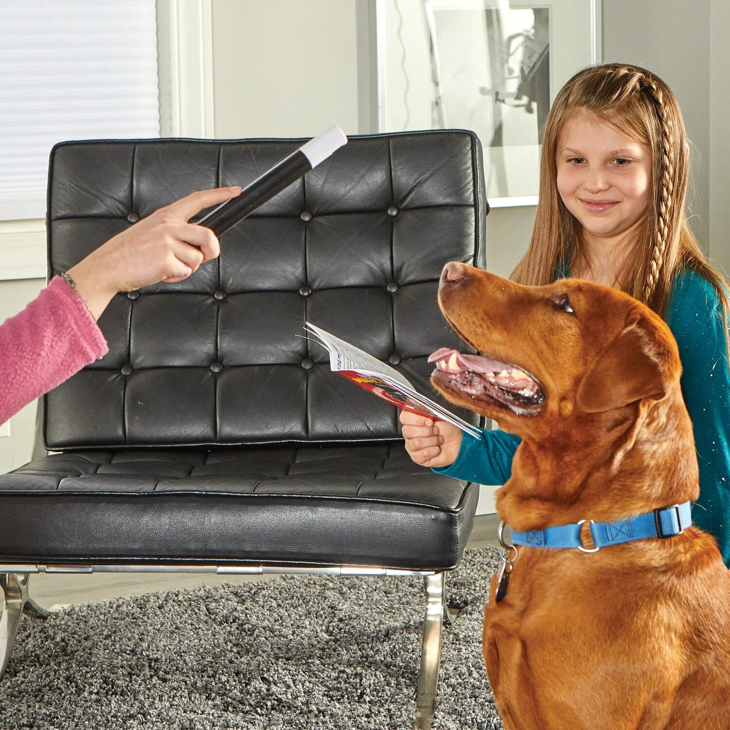 Set de dresaj pentru caini Brightkins cu trucuri magice si jocuri