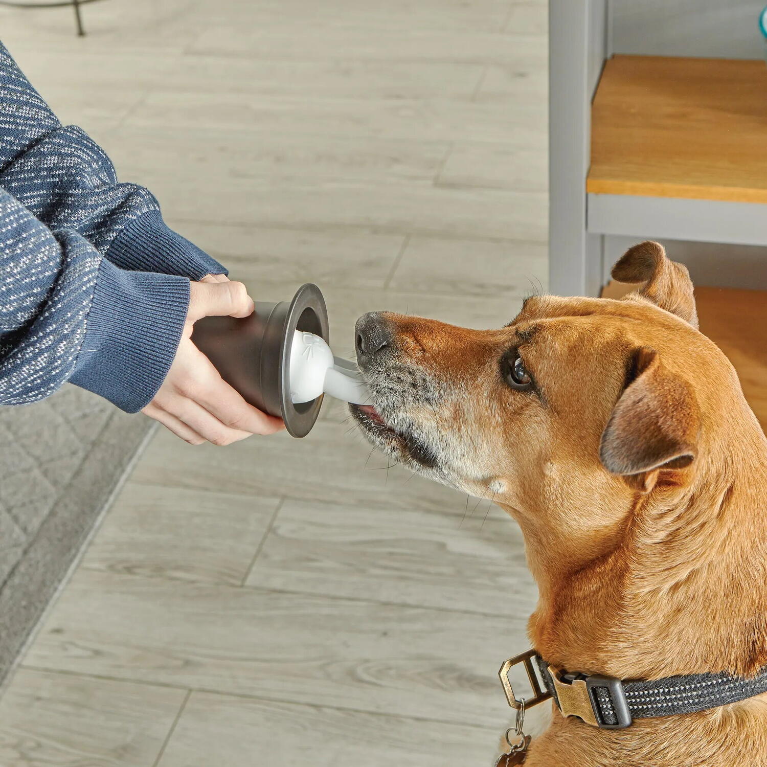 Set de dresaj pentru caini Brightkins cu trucuri magice si jocuri