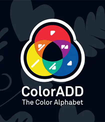 Joc de carti Lambada - Carnavalul culorilor, 2-6 jucatori