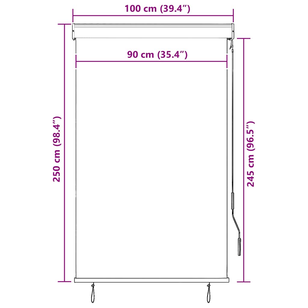 Jaluzea tip rulou de exterior, albastru și alb, 100 x 250 cm GartenMobel Dekor