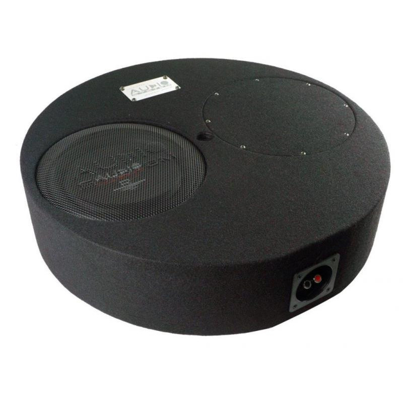 Subwoofer auto pasiv 10 inch Audio System pentru roata de rezerva, 2 Ohm