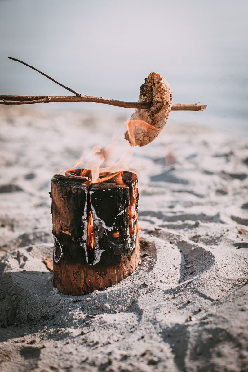 Švédsky oheň Strend Pro WOODSON, prenosné ohnisko, prírodný varič, poleno na varenie, kempovanie, táborák, 1 hod