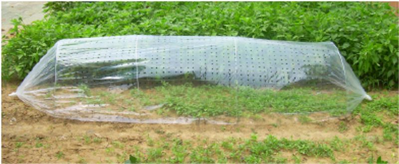 Parenisko Strend Pro Garden, 310x100 cm, mini fóliovník, perforované