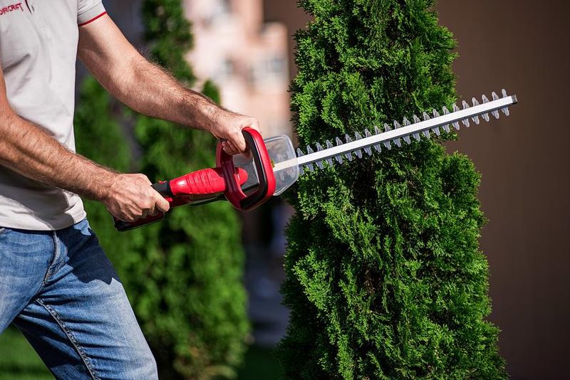 Foarfecă electrică pentru gard viu Worcraft CHT-S20LiA 20V, 510 mm