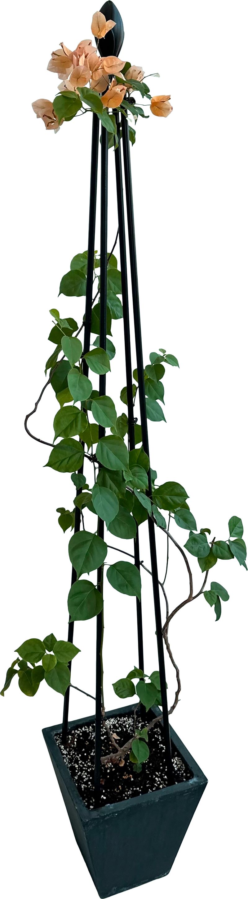 Opora Strend Pro, na rastliny, 4-nohá, 150 cm