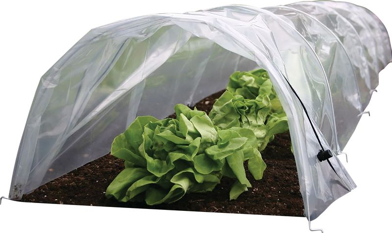 Parenisko Strend Pro Greenhouse, mini fóliovník, 55x1000x40 cm