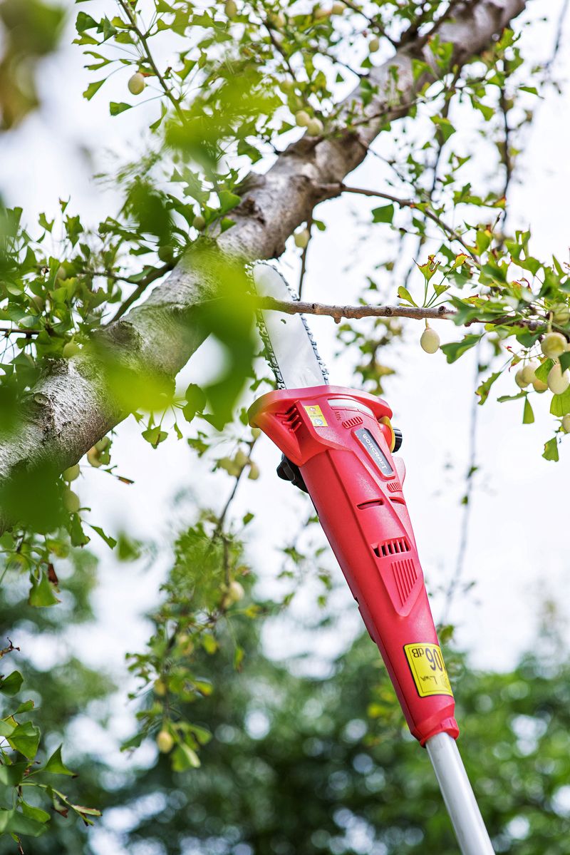 Fierăstrău telescopic pentru crengi Worcraft CPS-S20Li 20V cu acumulator