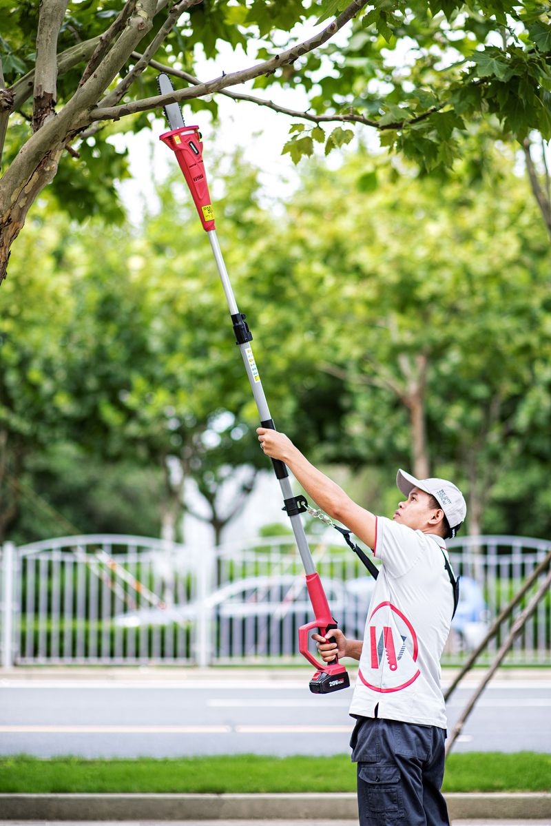 Fierăstrău telescopic pentru crengi Worcraft CPS-S20Li 20V cu acumulator