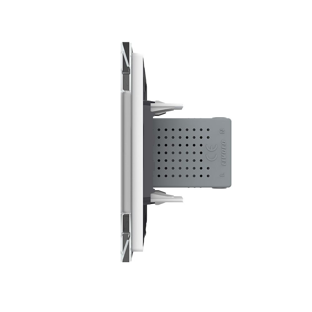 Priza USB-A + USB-C cu Rama Din Sticla si Tasta Falsa LIVOLO SmartElectro IntelligentHouse