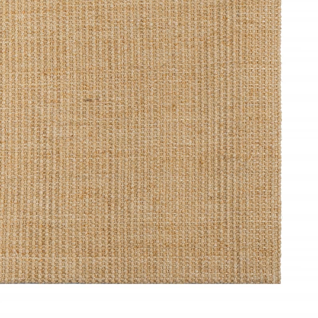 Covor din sisal, natural, 80x150 cm GartenMobel Dekor