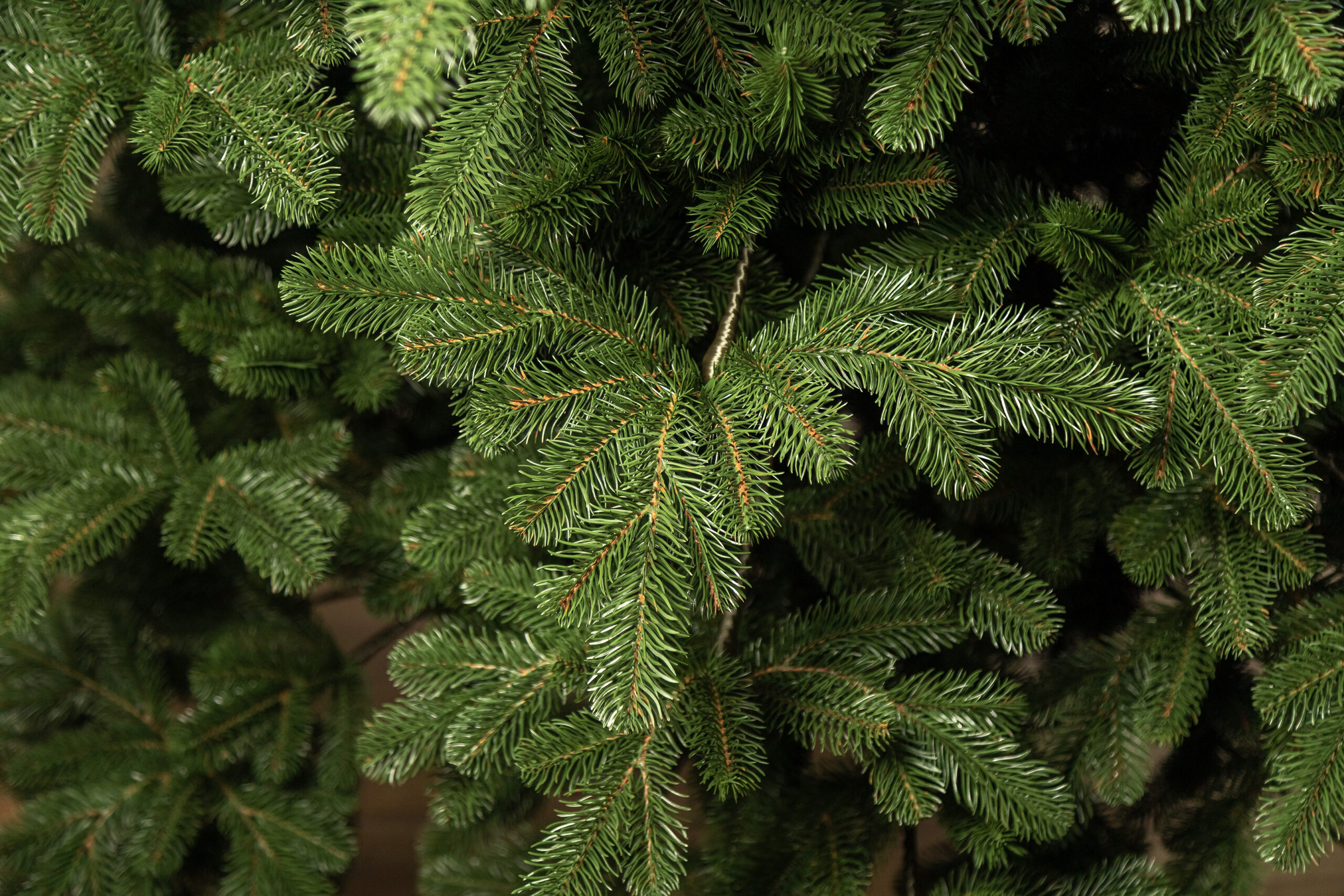 Brad artificial 3D Sersimo Kovalivka Select, 180 cm, suport metalic