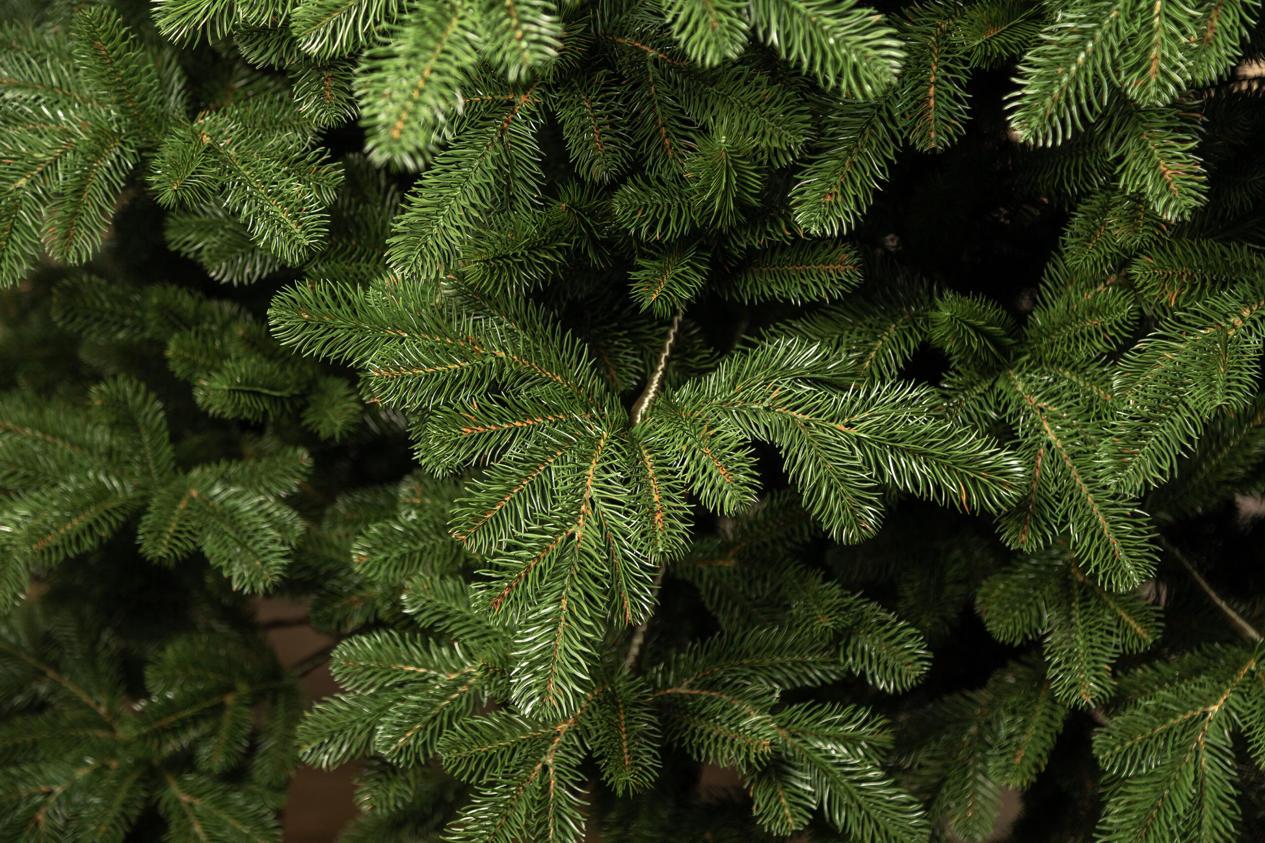 Brad artificial 3D Kovalivka Select Sersimo, 210 cm, suport metalic