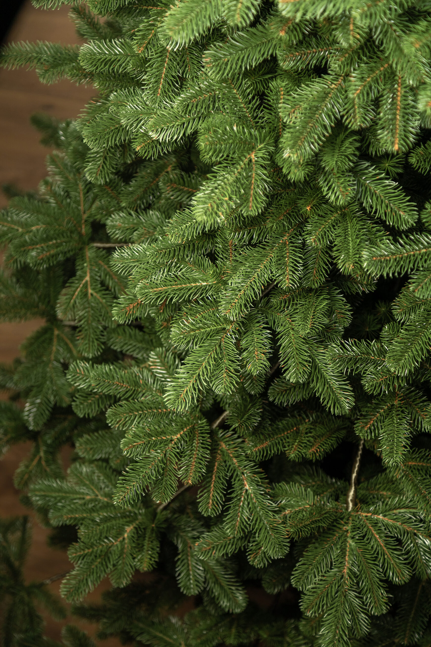 Brad artificial 3D Sersimo Kovalivka Select, 230 cm, suport metalic