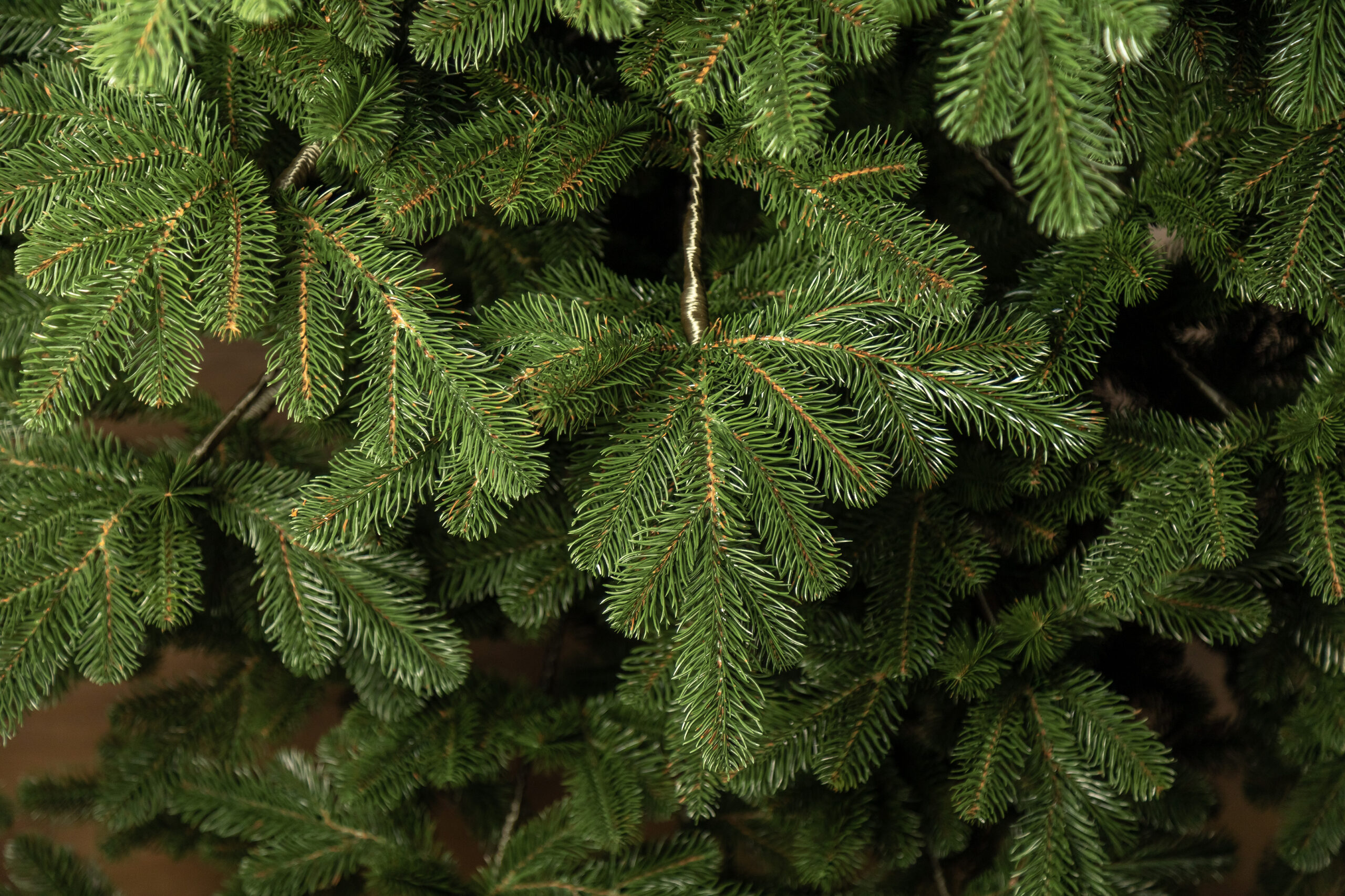 Brad artificial 3D Sersimo Kovalivka Select, 230 cm, suport metalic