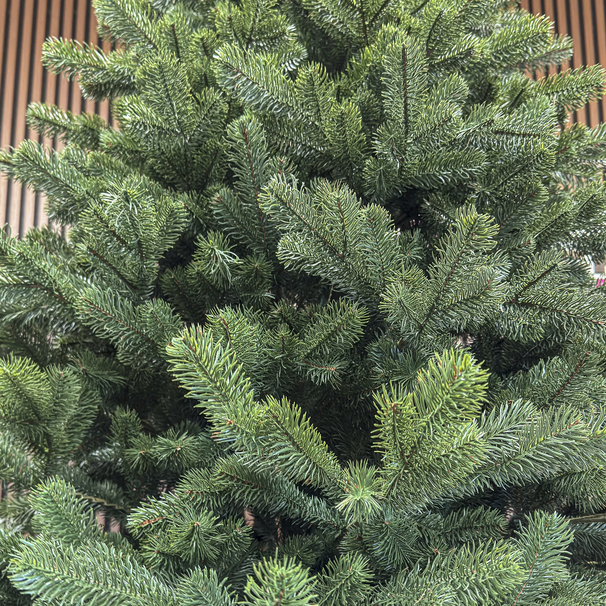 Brad artificial 3D Sersimo Kovalivka Select, 230 cm, suport metalic