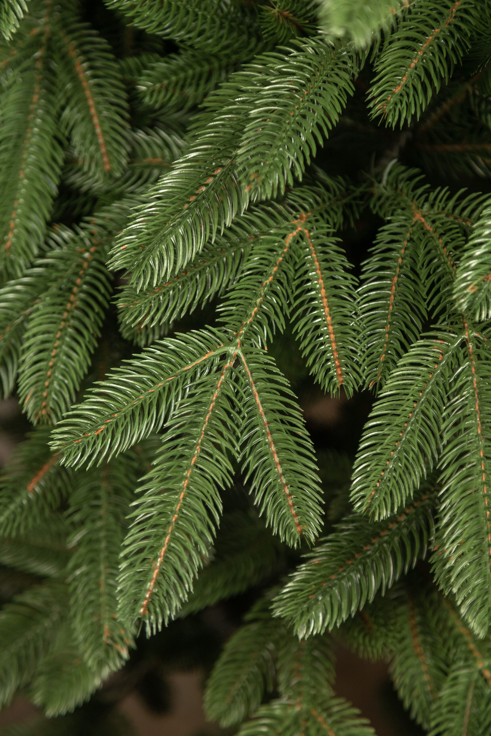 Brad artificial 3D Sersimo Laponia Select, 180 cm, aspect realist