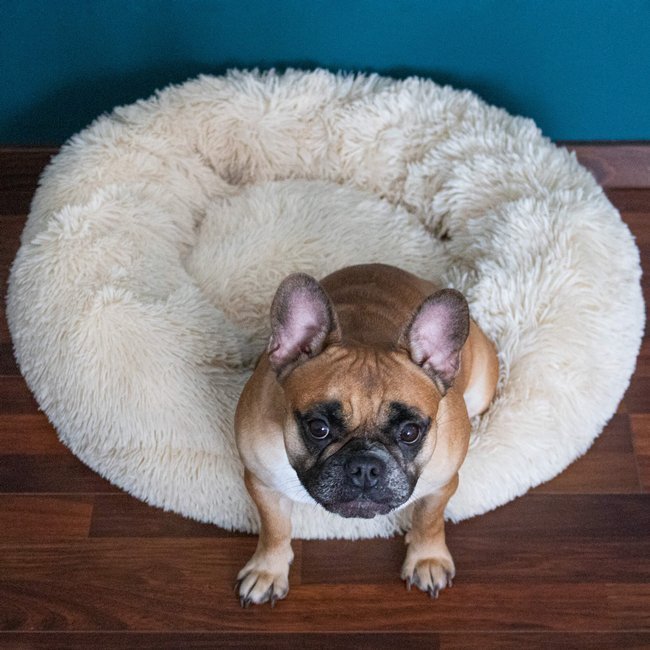 Pat pufos Sersimo pentru caini si pisici, bej, 90 cm, husa detasabila