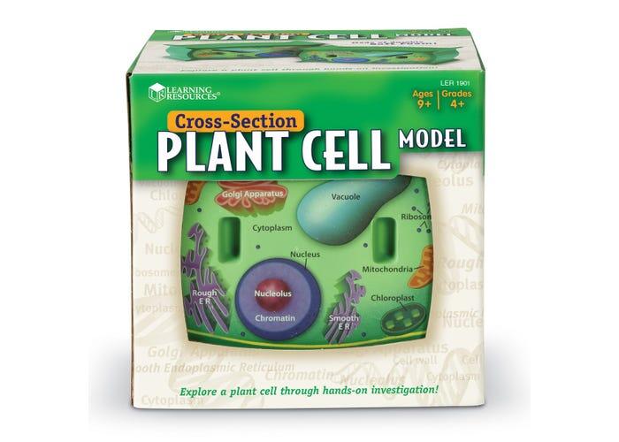 Sectiunea celulei plantei PlayLearn Toys