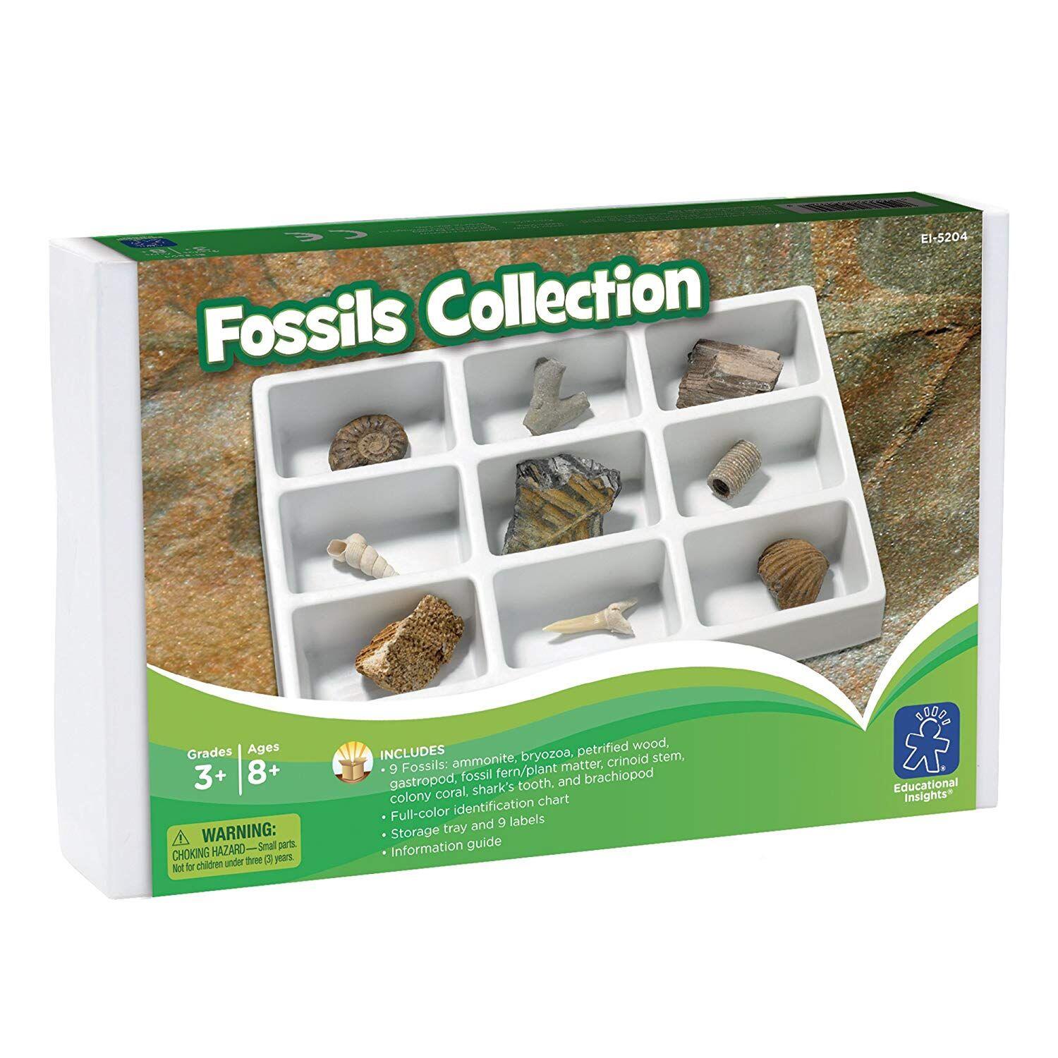 Kit paleontologie - Fosile PlayLearn Toys
