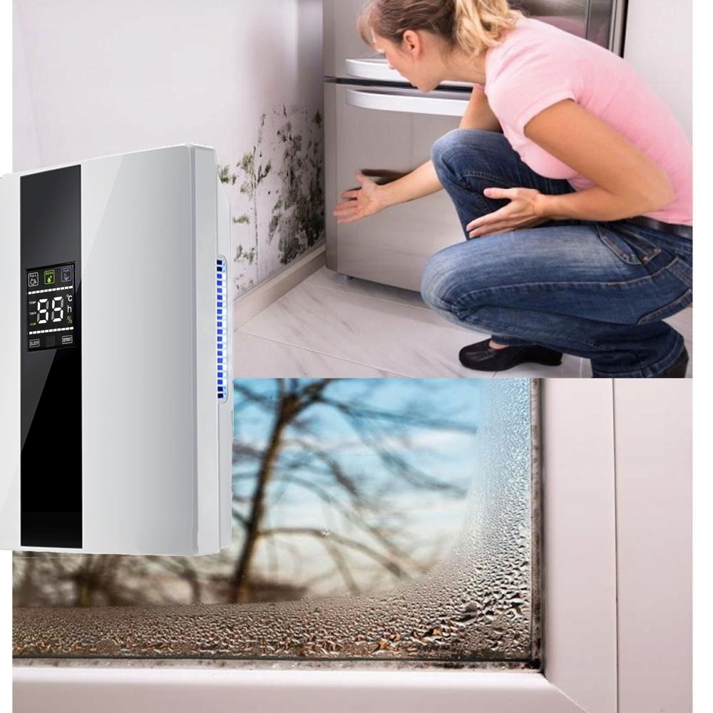 Dezumidificator si Purificator de Aer 2-in-1, Afisaj Temperatura/Umiditate, Randament 650ml/zi, Putere 90W, Anti-Mucegai, Telecomanda, Alb