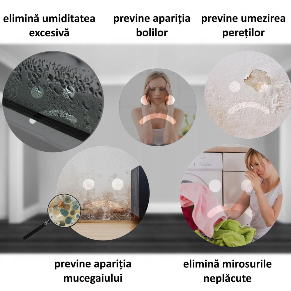 Dezumidificator si Purificator de Aer 2-in-1, Afisaj Temperatura/Umiditate, Randament 650ml/zi, Putere 90W, Anti-Mucegai, Telecomanda, Alb