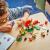 LEGO SUPER MARIO SET DE EXTINDERE NABBIT LA MAGAZINUL LUI TOAD 71429 SuperHeroes ToysZone