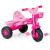 Prima mea tricicleta roz - Unicorn PlayLearn Toys