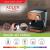 ESPRESSOR 15 BAR AD 4404 ADLER EuroGoods Quality