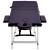 Masă de masaj pliabilă, 3 zone, violet, aluminiu GartenMobel Dekor