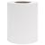 Panou de intimitate grădină, alb, 35 x 0,19 m, PVC GartenMobel Dekor