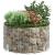 Stâlp de gabion, Ø100x50 cm, oțel galvanizat, circular GartenMobel Dekor