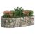 Strat înălțat gabion, 200x100x50 cm, fier galvanizat GartenMobel Dekor
